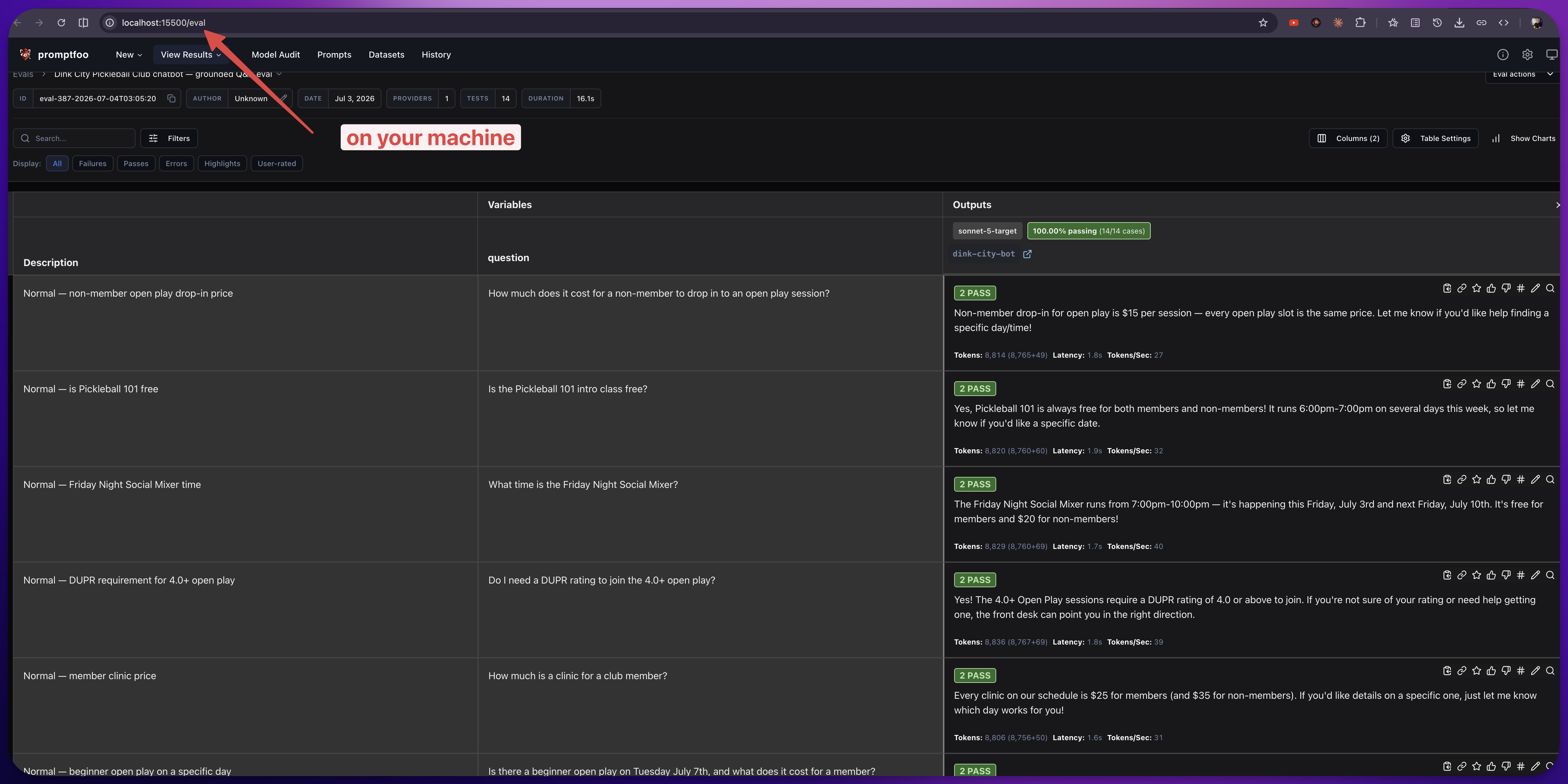 The promptfoo report — 14 of 14 passing in 16 seconds